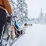 Reindeer Manor Resort