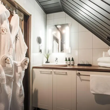 Lomakeskus Reindeer Manor Levi