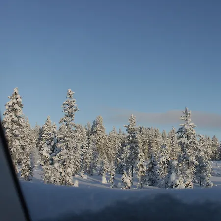 Reindeer Manor אתר נופש