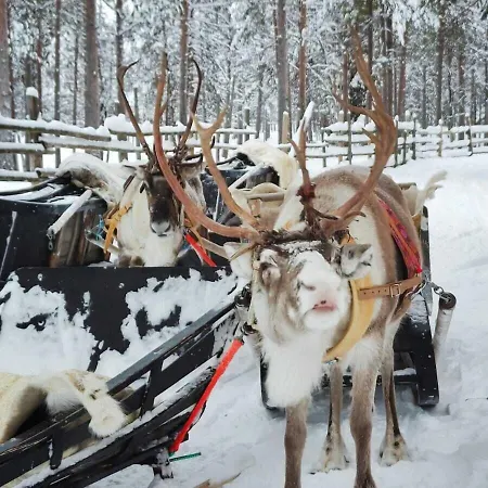 Reindeer Manor