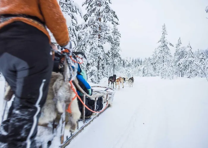 Reindeer Manor Resort