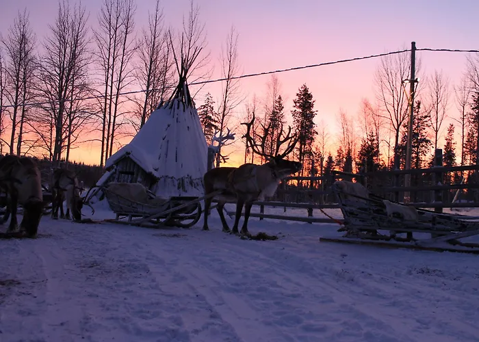 Lomakeskus Reindeer Manor 5*