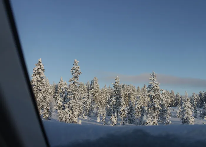 Reindeer Manor Lomakeskus